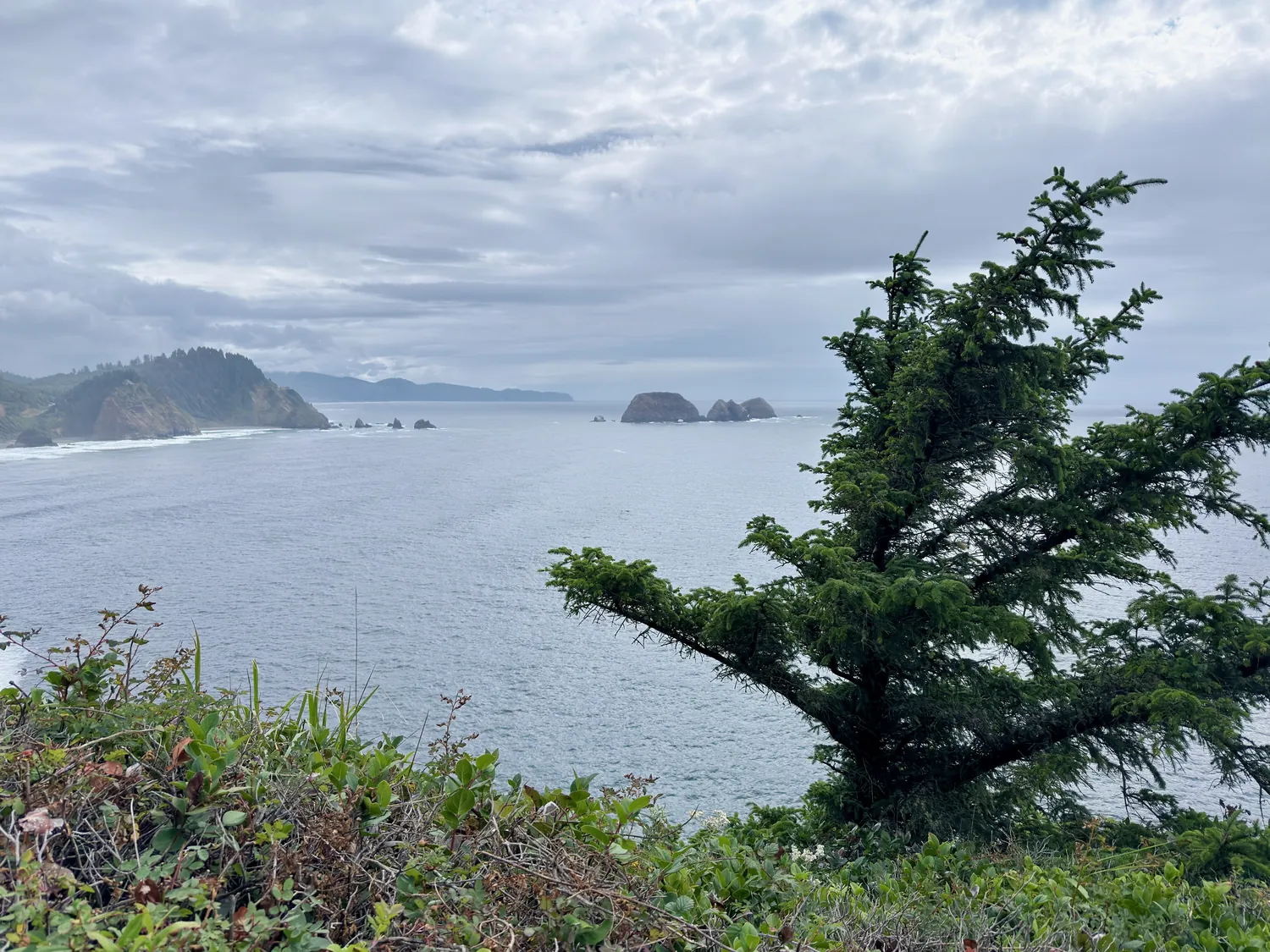 Oregon coastline with evergreen trees and distant islands
